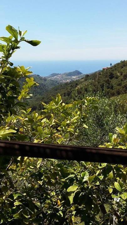 Casa Cassini, Negi Fumei Bordighera Esterno foto