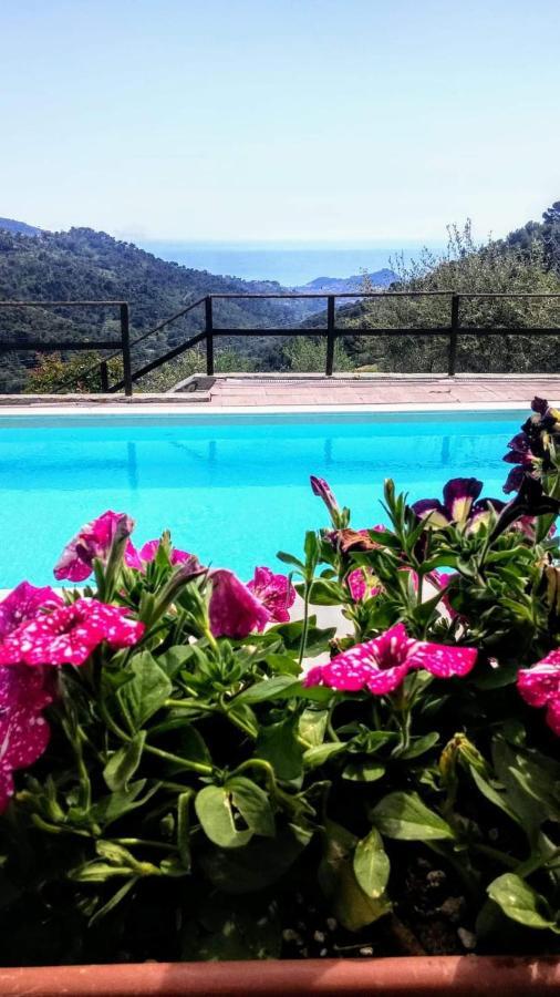 Casa Cassini, Negi Fumei Bordighera Esterno foto